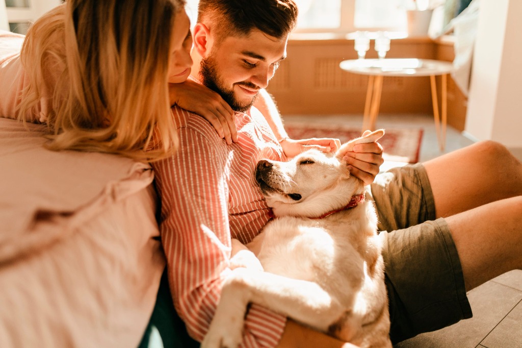 Perro feliz en el pasto