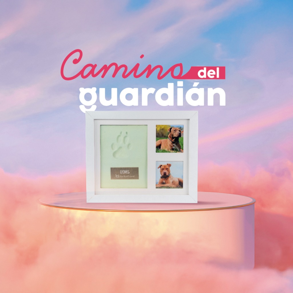 Caminos del Guardián