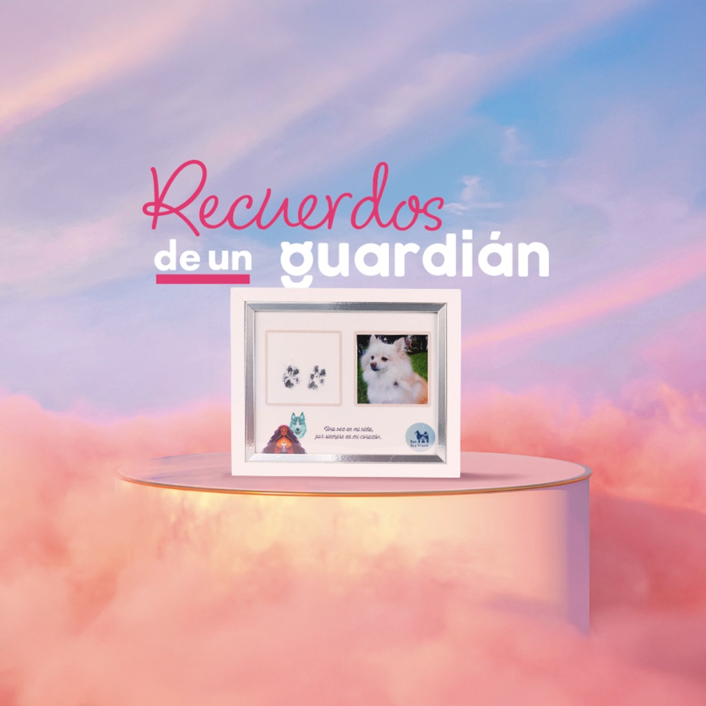 Recuerdos de un Guardián